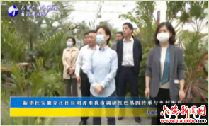 新华社安徽分社社长刘菁来我市调研红色基因传承与乡村振兴