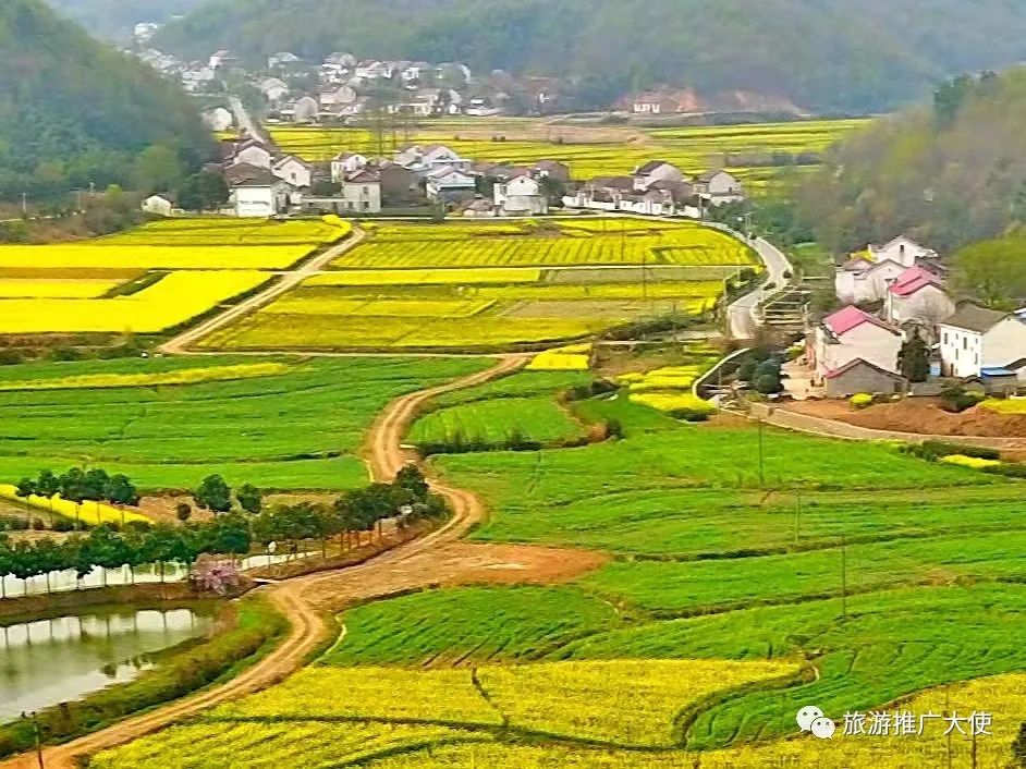 微信图片_20220317154935.jpg 图片