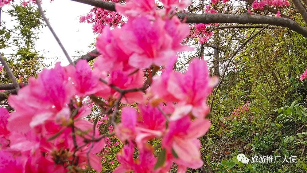 微信图片_20220322110231.jpg 图片