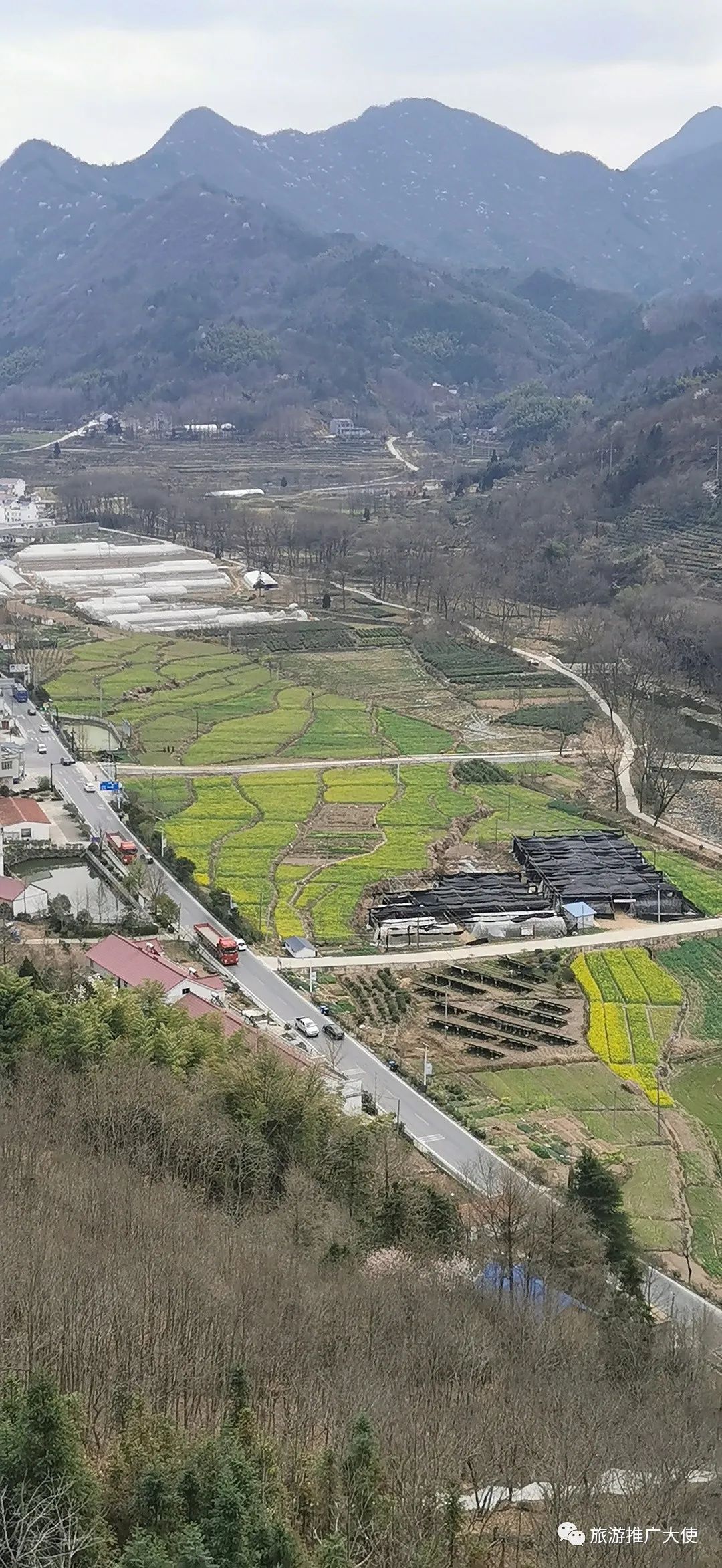 微信图片_20220322110126.jpg 图片