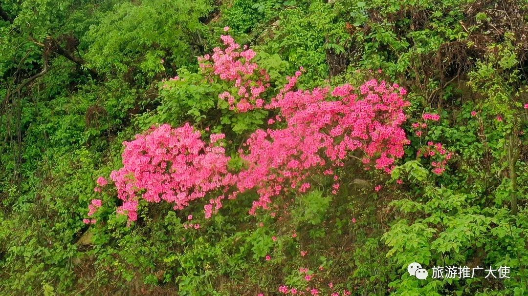 微信图片_20220322110239.jpg 图片