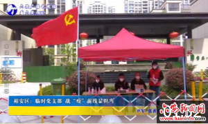 裕安区：临时党支部 战“疫”前线显担当