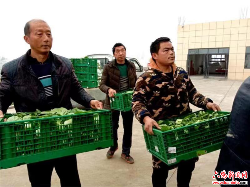 不负农时“争春忙“ 希望田野保供应