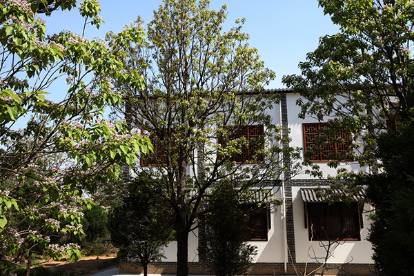 一起郑小康①｜申河村：小河悠悠、美食爽口、民宿静闲