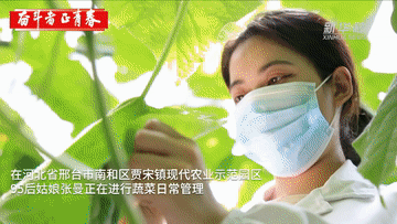 奋斗者·正青春｜“Z世代”新农人返乡种菜记