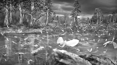 我科学家建立并命名“西湾生物群”