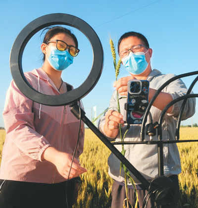 “新农人”网上闯出致富路（网上中国）