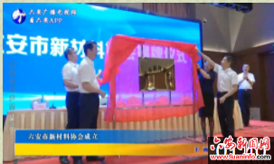 六安市新材料协会成立