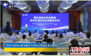 国内首座兆瓦级氢能综合利用示范站在我市投运