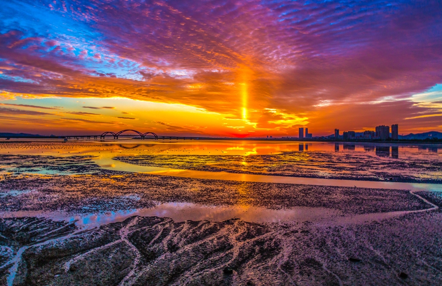 《养马岛大桥日出》+孙树业+13953587085_副本