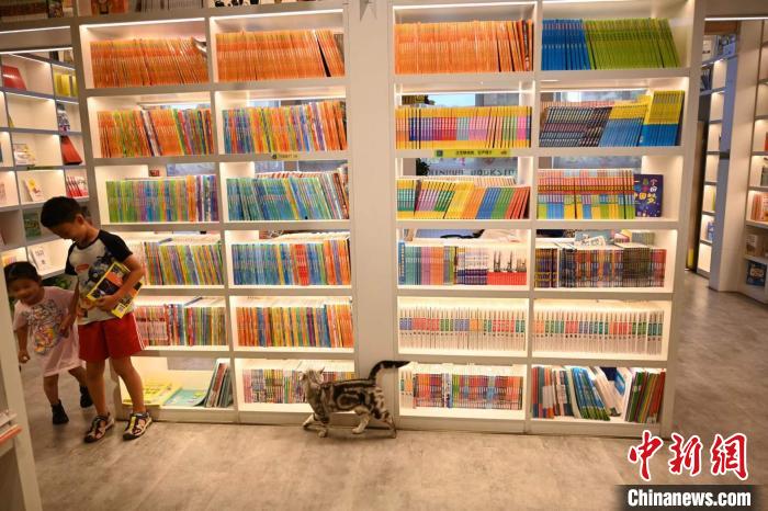 图为猫店长在店内“巡视”。　刘文华 摄