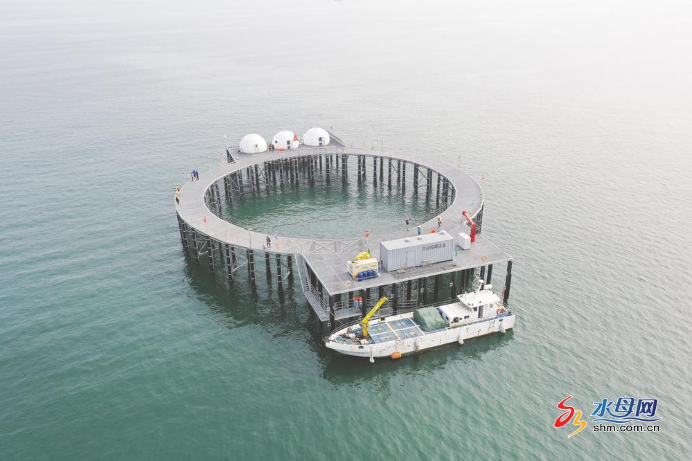 经略海洋 向海图强|烟台给渔业种业装上“中国芯”