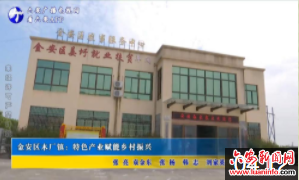 金安区木厂镇：特色产业赋能乡村振兴