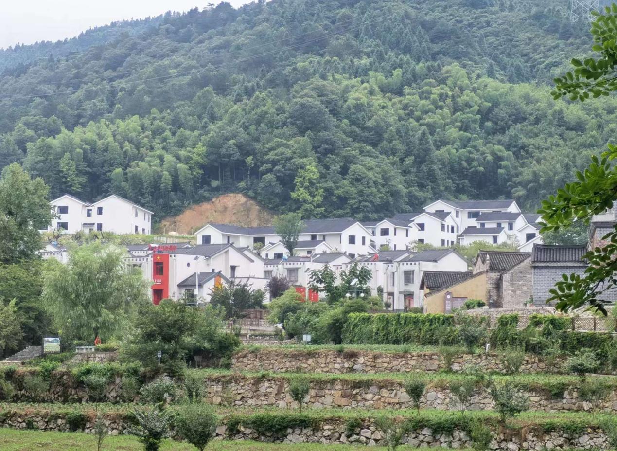 安大经院红色筑梦师团队赴金寨大湾村实践调研顺利开展