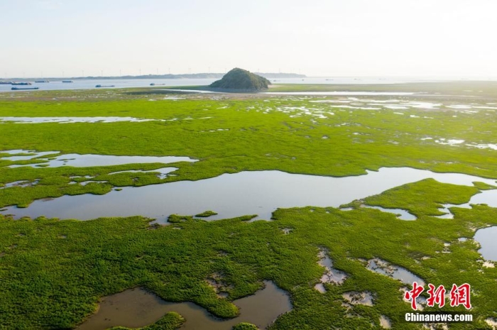 中国最大淡水湖鄱阳湖创进入低枯水期最早纪录