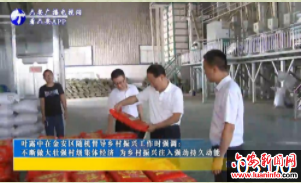 叶露中在金安区随机督导乡村振兴工作时强调：不断做大壮强村级集体经济 为乡村振兴注入强劲持久动能