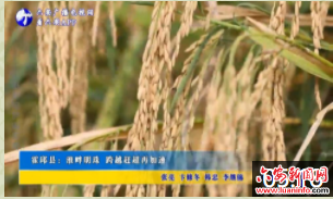 霍邱县：淮畔明珠 跨越赶超再加速