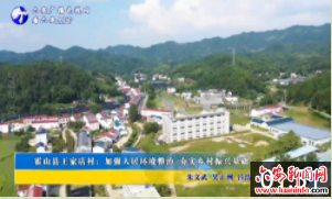 霍山县王家店村：加强人居环境整治 夯实乡村振兴基础