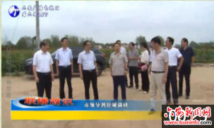 市领导到舒城调研