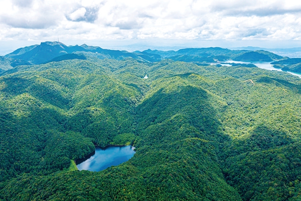 象头山探绿
