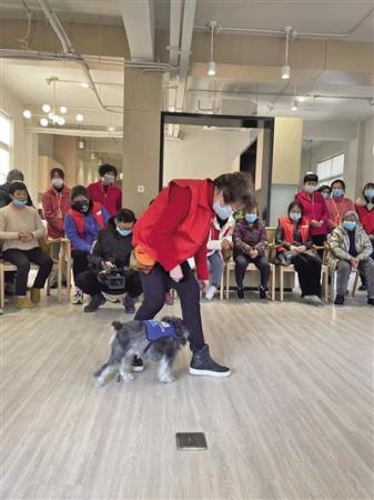 阿尔茨海默病治疗犬 为老人带去抚慰对抗遗忘