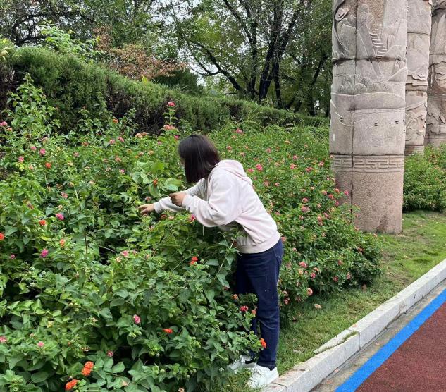 国庆假期 别让不文明“伤”了美景