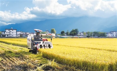 全国秋粮收获进度过半