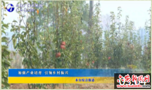 加强产业培育 引领乡村振兴