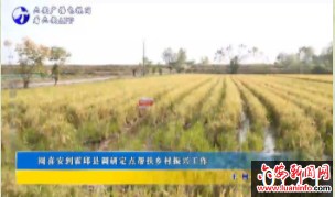 周喜安到霍邱县调研定点帮扶乡村振兴工作