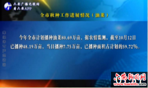全市秋种最新进度