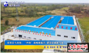 霍邱县乌龙镇：“四镇”战略助振兴 建设富强新乌龙