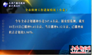 全市秋种工作进展情况（小麦）