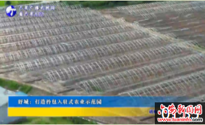 舒城：打造拎包入驻式农业示范园