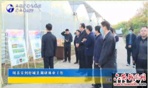 周喜安到舒城县调研林业工作