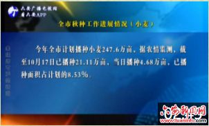 全市秋种工作进展情况