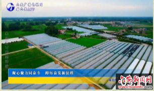 凝心聚力同奋斗 踔厉奋发新征程