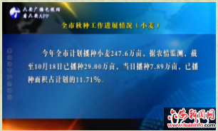 全市秋种工作进展情况