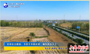 霍邱县岔路镇：多措并举抓秋种 确保粮食安全