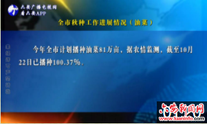 全市秋种最新进度