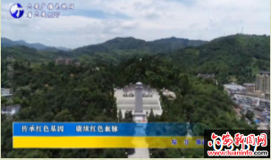 传承红色基因 赓续红色血脉
