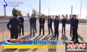 市人大工作研究会到叶集区调研乡村振兴和“双招双引”工作