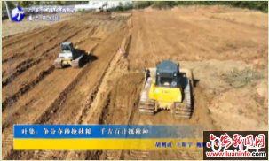 叶集：争分夺秒抢秋粮 千方百计抓秋种