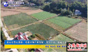 霍山县黑石渡镇：党建引领产业发展 努力打造“仙蔬小镇”