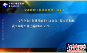 全市秋种工作进展情况