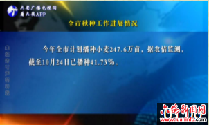 全市秋种工作进展情况