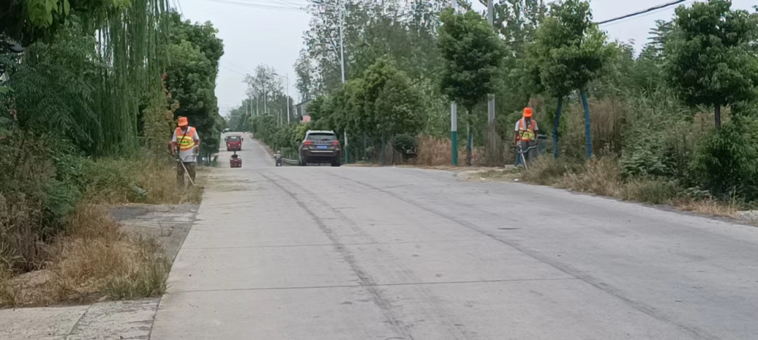 金安区交通运输局：加大治理力度，大力提升农村公路“颜值”