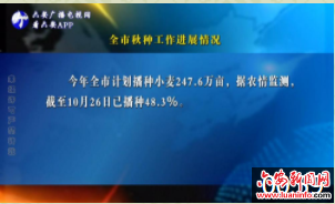 全市秋种工作进展情况