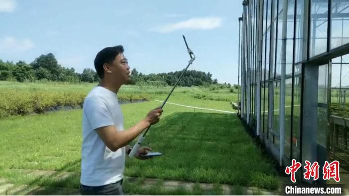 从企业高管到农田主播台湾小伙大陆投身大健康产业