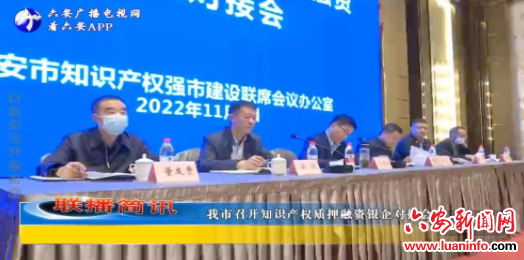 我市召开知识产权质押融资银企对接会