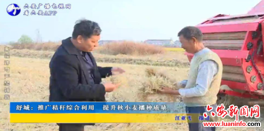 舒城：推广秸秆综合利用 提升秋小麦播种质量